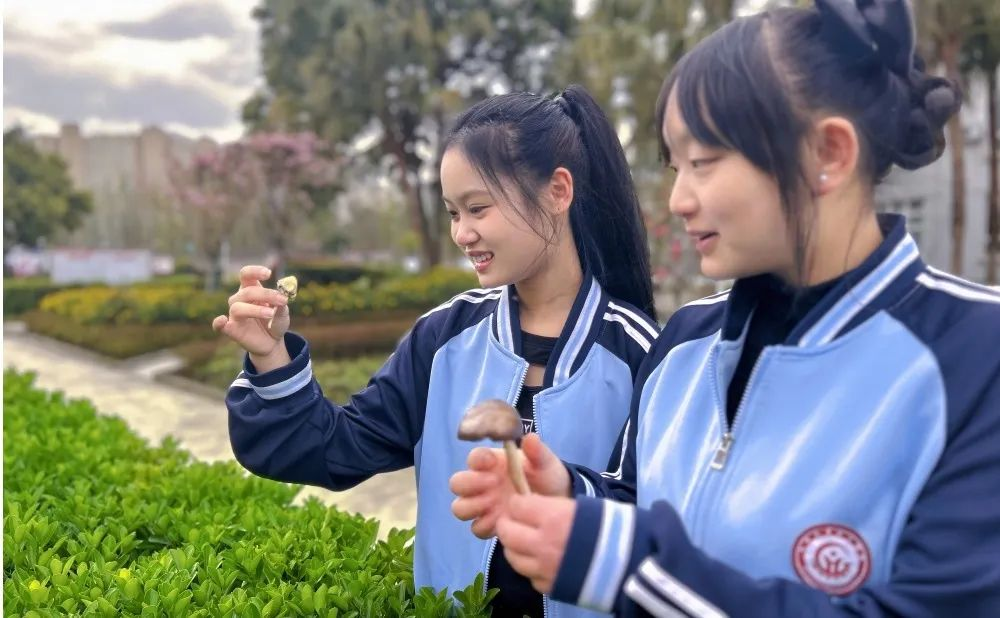 图片1.png