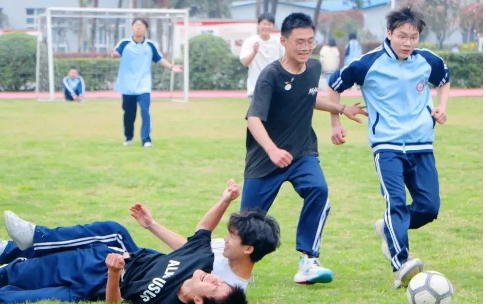 图片 11.png