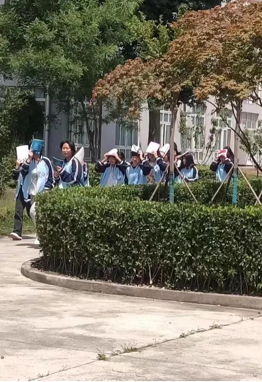 图片 6.png