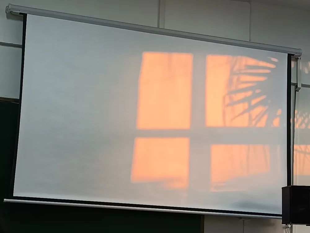 图片 7.png