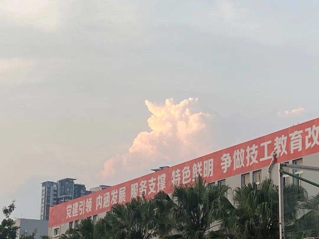图片 11.png