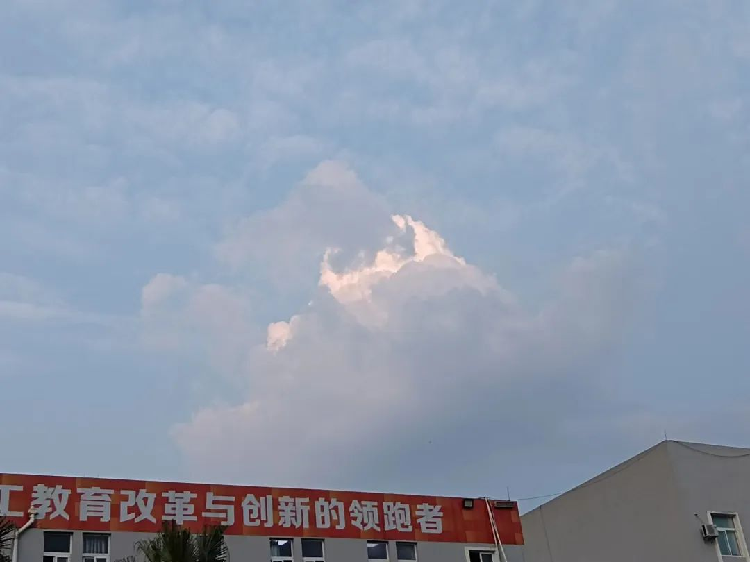 图片 14.png