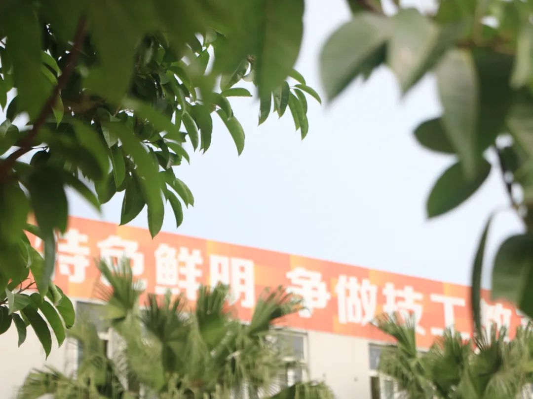 图片 13.png