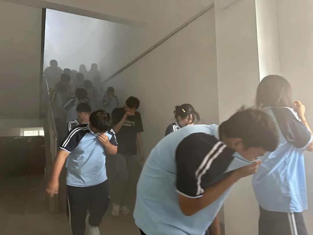 图片 5.png