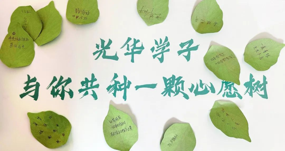 图片 17.png
