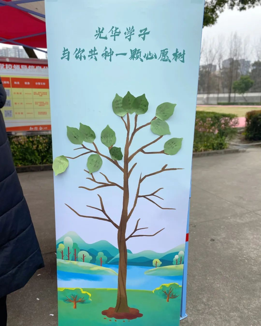 图片 20.png
